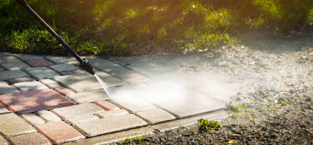 Best Animal Enclosure Cleaning  in Grand Prairie, TX